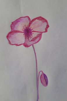 рисунок