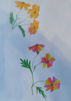 рисунок