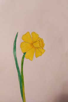 рисунок